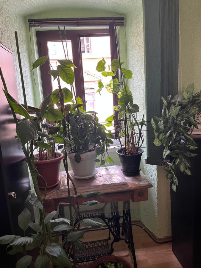 דירות רייקה Apartman Lora מראה חיצוני תמונה
